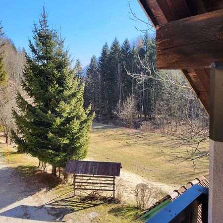 Apartment Dobnikar Kranjska Gora Ngoại thất bức ảnh