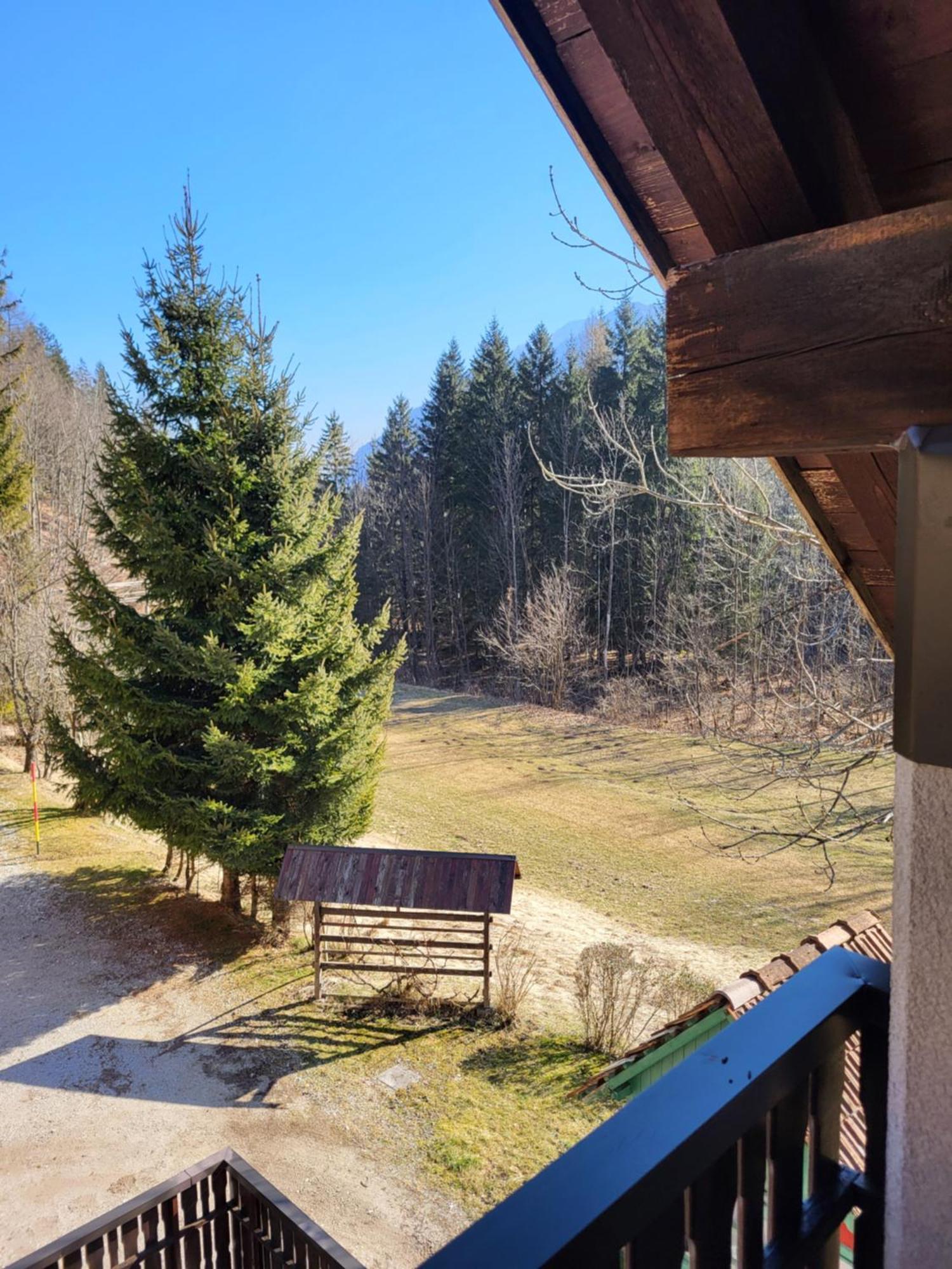Apartment Dobnikar Kranjska Gora Ngoại thất bức ảnh